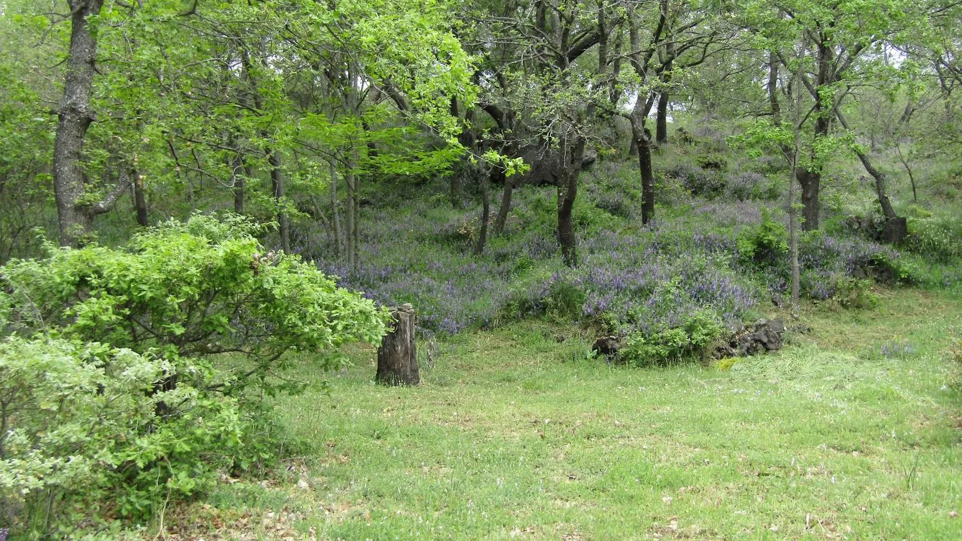 Alloggio per agriturismo Villa Boscoscuro Ragalna